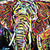 Elephant Art, Wildlife Painting