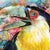 Toucan Art, Bird Painting